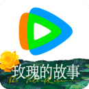 很多只脚的爬行虫子